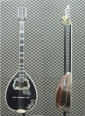 BO-037