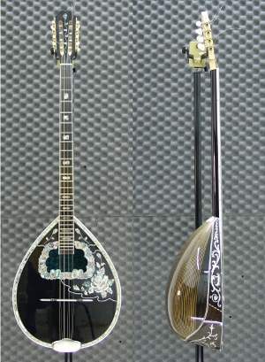 BO-088